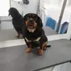 Emma Hubbard - @emma.hubbard1 - TikTok