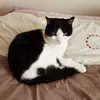 Emma Hubbard - @emma.hubbard7 - TikTok
