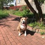 Emma - @emma.die.hummel - Instagram
