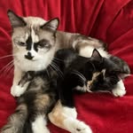 Emma - @emma_hummel777 - Instagram