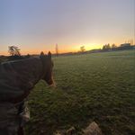 Em hyatt🐗🐴🚜 - @emma.hyatt2009 - Instagram