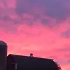 Emma Hyatt - @wierdos_life1 - TikTok