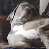 Emma Jarrett - @emmajarrett2 - TikTok