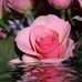 Emmy Joels - Facebook
