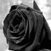 Emma Joseph - Facebook