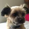 Emma Joseph - @your.curls - TikTok