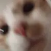 emma kain - @emmaaaaaaa334 - TikTok