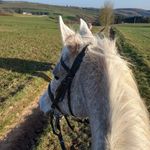 Emma Kessler - @emmakessler23 - Instagram
