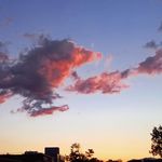 emma. - @emmak_ipp - Instagram