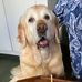 Emma Kipp - Facebook