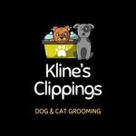 Emma Kline - @klines_clippings - Instagram