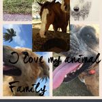 Emma Knott - @bananabread2004 - Instagram