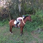 Emma Krueger - @emma_equ_horses - Instagram