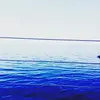 emma_lacy - @emma_lacy_ - TikTok