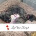 Emma Latham - Facebook