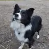 Emma Latham - @emma.latham - TikTok