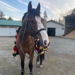 Emma Levine - @emma_levine.eq - Instagram