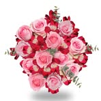 Emma Ley - Facebook
