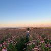 Emma Locklear - @emma.locklearr - TikTok