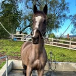 Emma Mabry - @bentleyeventing - Instagram