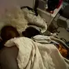 emma - @emma_malone10 - TikTok