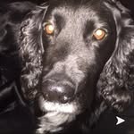 emma malone - @emmamalone4603 - Instagram