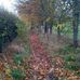 Emma Mapp - Facebook