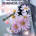 Emma Olga Fandiño Mayorga - @fandinomayorga - Instagram