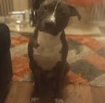 Emma Mays - Facebook