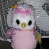 emma.mays - @slella.the.owl - TikTok