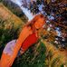 Emma McCammon - Facebook