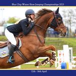 Emma McCarter | Showjumper 🇬🇧 - @grackle_ - Instagram