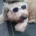 Emma Mccartney - Facebook
