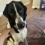 Emma McCutcheon - @_emmabusby - Instagram