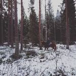 Emma Mcfarlane - @mcfarlane.emma - Instagram