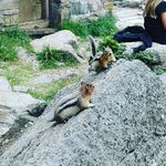 Emma Mcgee - @emmymcgee15 - Instagram