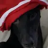 Emma Mcghee - @emma.mcghee - TikTok