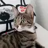 mina🤣 - @emmamcghee08 - TikTok