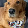 Emma - @emma.mcnallyyyyy - TikTok