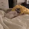 emma - @emmamcnallyy - TikTok