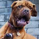 Emma McNally - @emma.mcnally.33 - Instagram