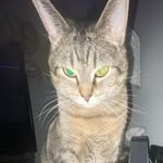 Emma - @emma_mcvicker_ - Instagram