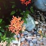 Emma McVicker - @photography_camera_pictures_ - Instagram