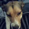 Emmamcvicker - @emmamcvicker - TikTok