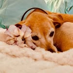 Emma Bean Messick - @emmabeanmessick - Instagram