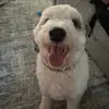 Emma Mitchell - @emmamitchell57 - TikTok