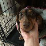Emma Grace Mobley - @emmagmobley - Instagram