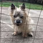 Emma Mock - @_woof_gang_ - Instagram