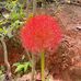 Emma Montes - Facebook
