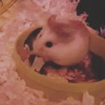 Emma Morey - @emma.morey.50 - Instagram